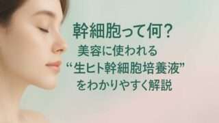 幹細胞培養液とは？生ヒト幹細胞の美容効果と安全性をやさしく解説